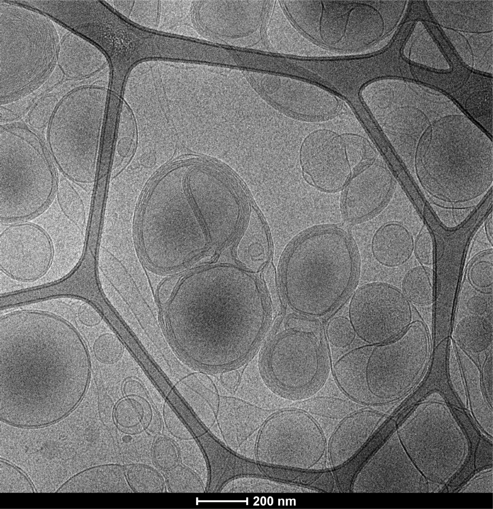 ReaLipo® MultiVitamin Liposomal A, B, C, D, E & K Cryo-EM Visualization of Multidimensional Liposomes
