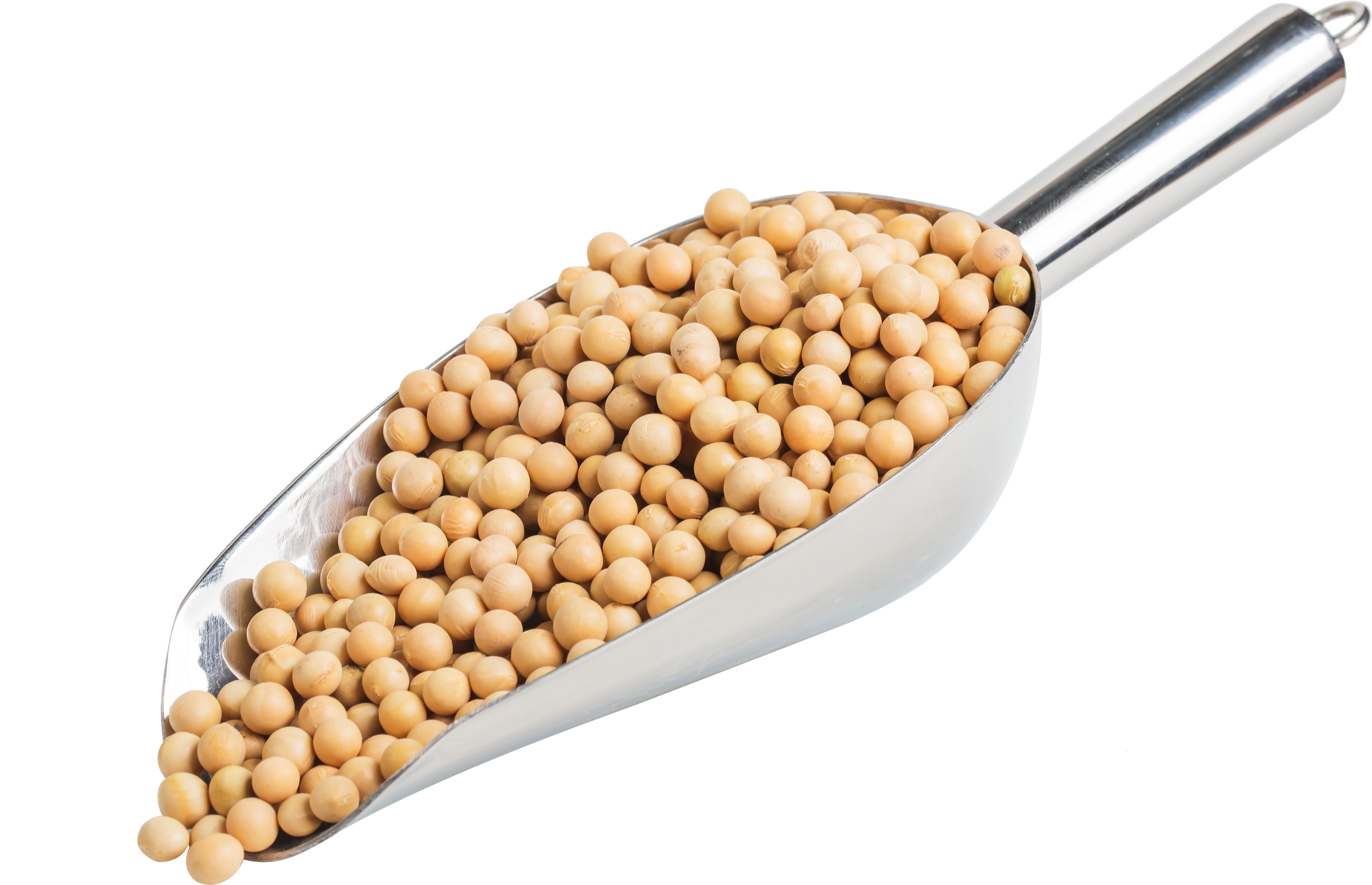 soya beans